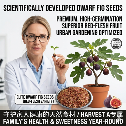 🌳🌳 High-Yield Dwarf Fig Tree – Fast-Growing, Sweet & Crisp Fruit, Perfect for Pots, Balconies & Farms