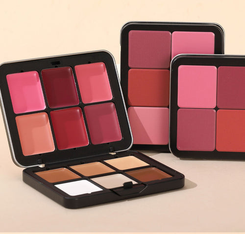 Dual Makeup Palette 6 Colors Concealer Blush Waterproof Long Wear Facial Cosmetics