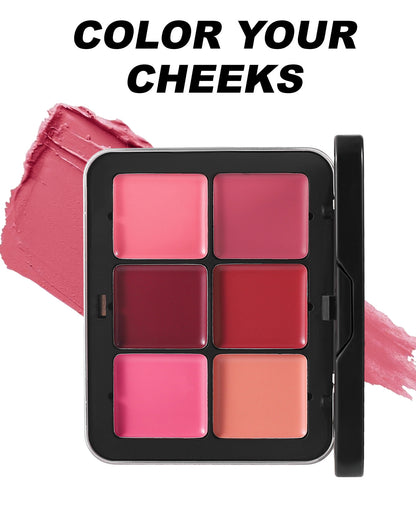 Dual Makeup Palette 6 Colors Concealer Blush Waterproof Long Wear Facial Cosmetics