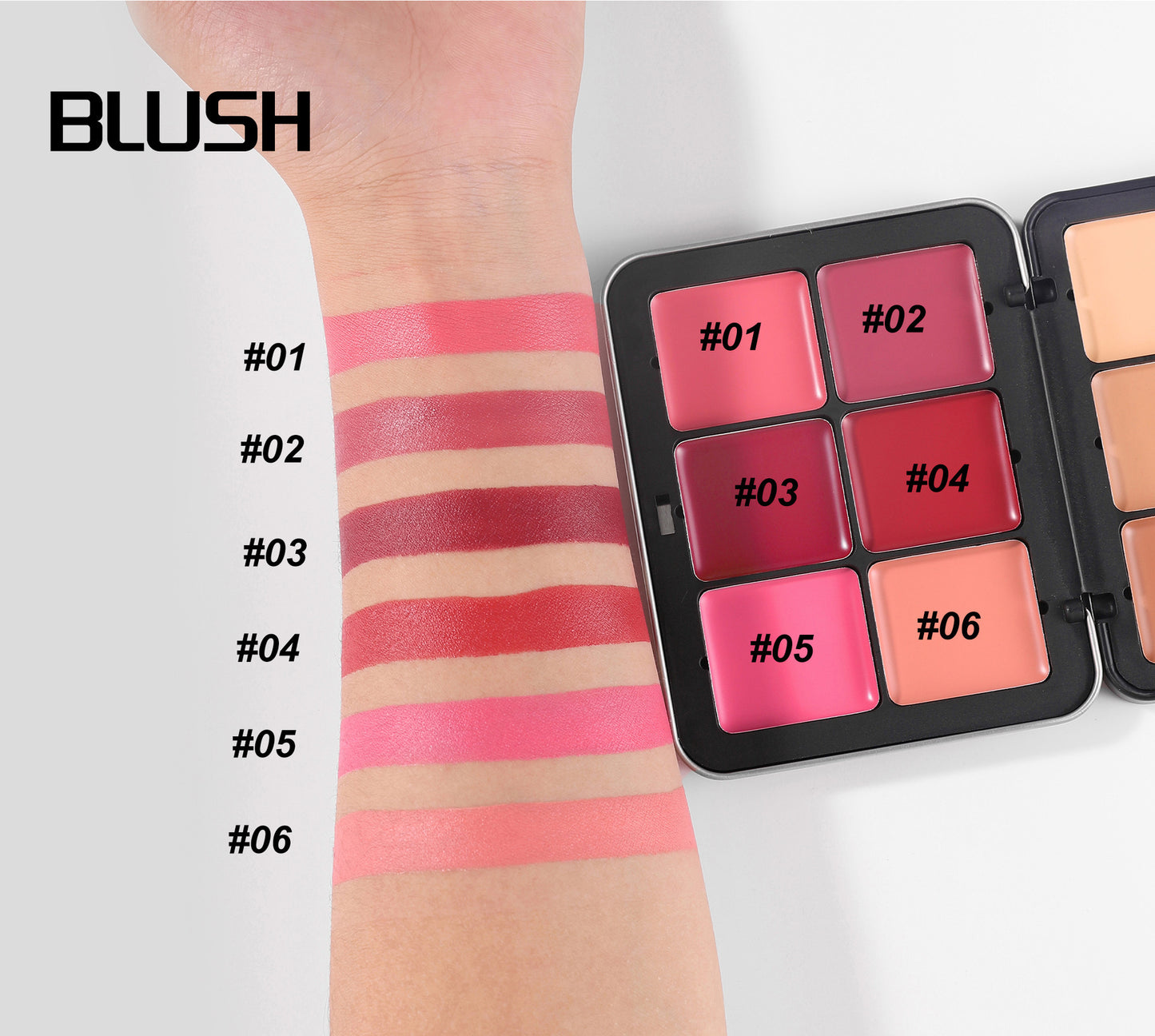 Dual Makeup Palette 6 Colors Concealer Blush Waterproof Long Wear Facial Cosmetics